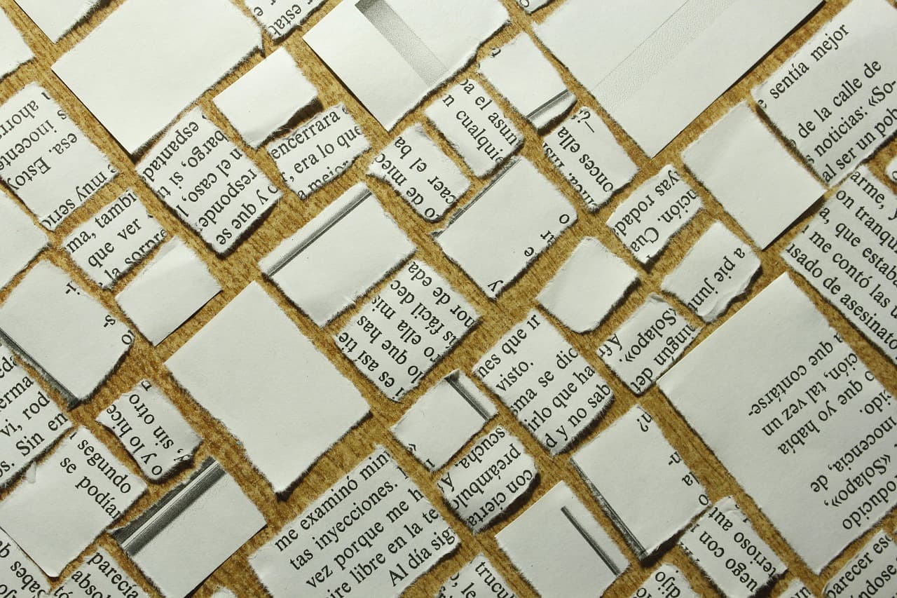 Torn fragments of printed paper laid side by side in a mosaic